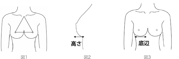 理想のバスト 図